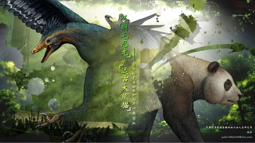 欲之冠游戏攻略最新版，手把手教你玩转！