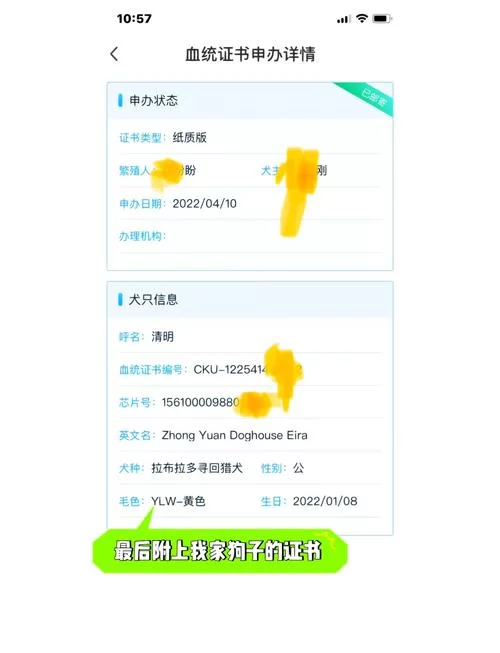 欺骗的阴影下载地址去哪儿找？这几个地方绝对靠谱！