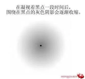 欺骗的阴影最新有哪些看点？主要内容不容错过！