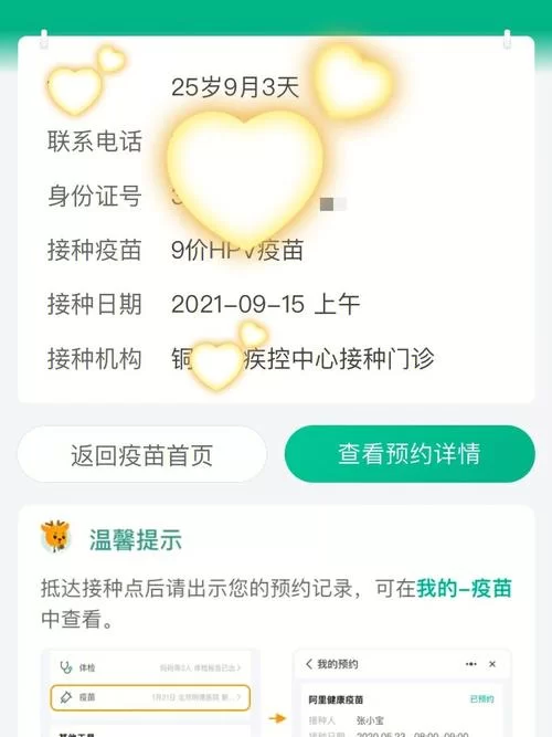 求九言官方正式版下载最新版？看这里有详细安装指引！