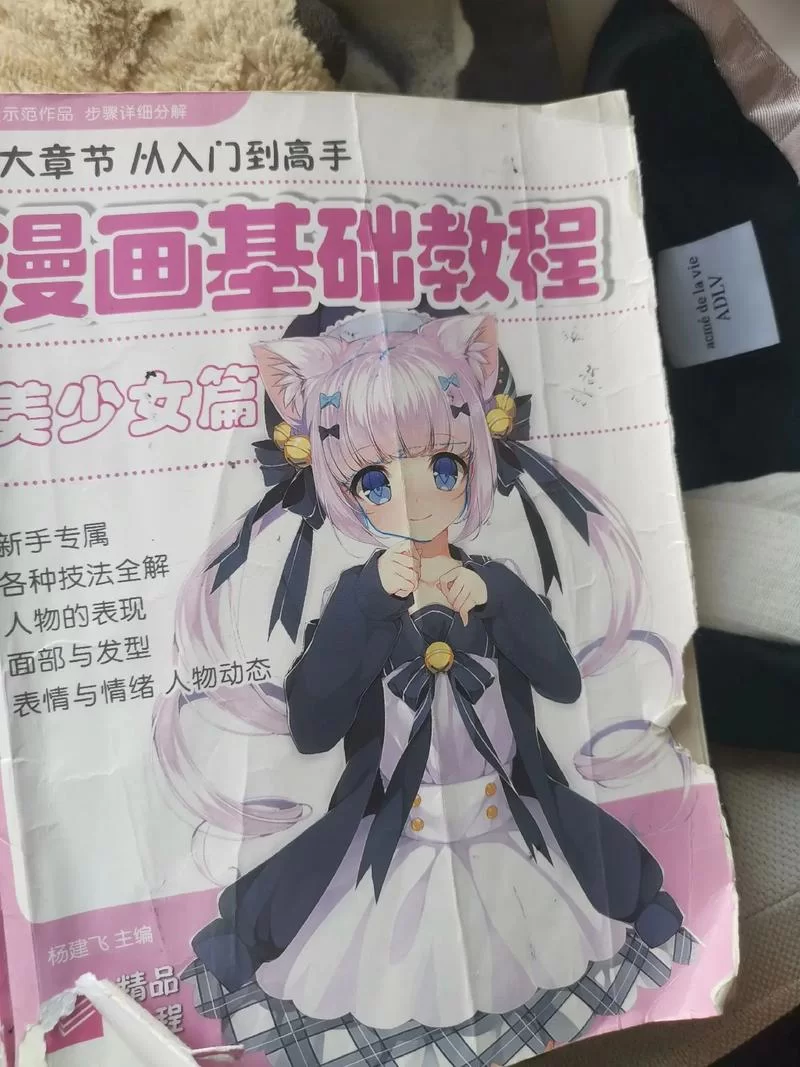 求助魔法少女蕾万蒂娅的直播频道如何下载？这有超详细步骤指南