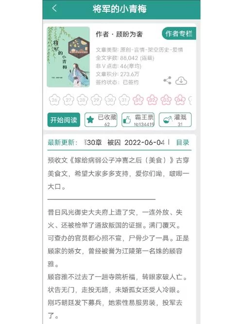 求小野猫N上安卓汉化直装包？稳定好用版本看这里！