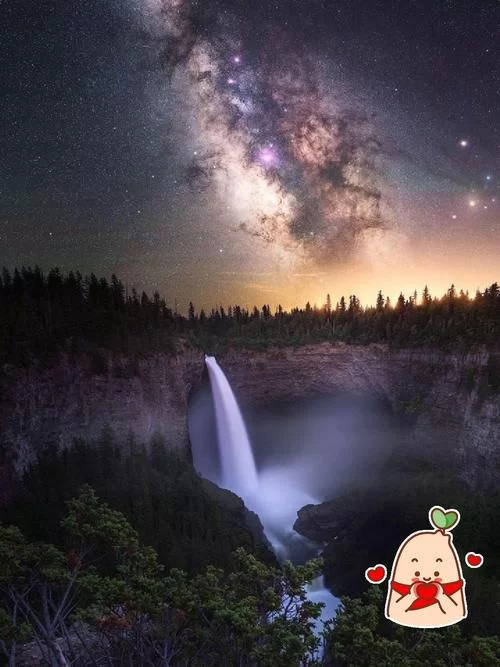 求月下40部下载地址大全？看这里，超全整理分享！