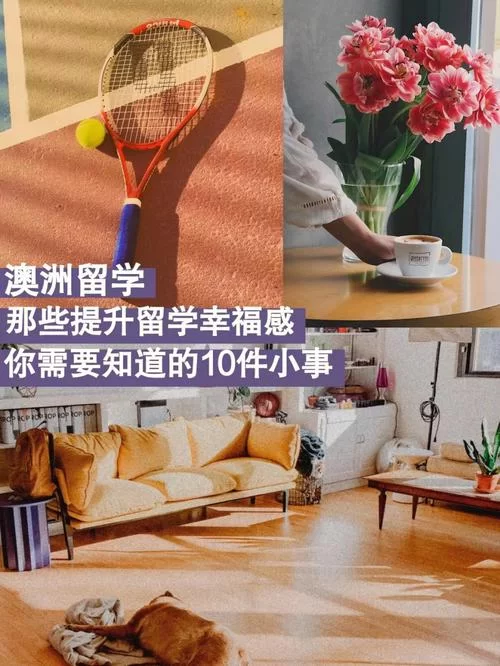 爱与生活：幸运老师官网有啥用？(提升幸福感就来这里看看)