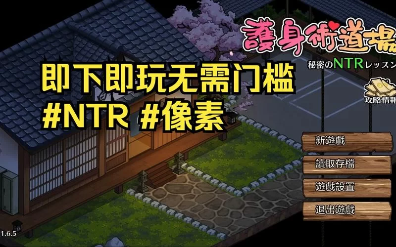 玩护身术道场绅士游戏卡顿怎么办？提高流畅度技巧！