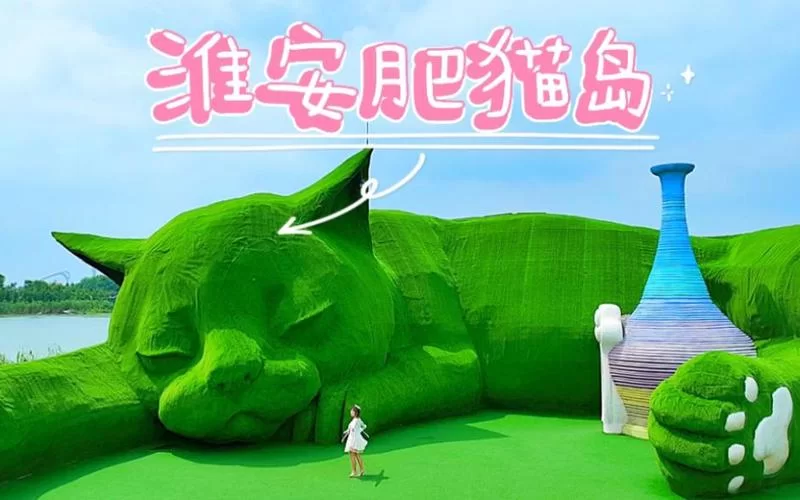 玩转喵喵岛3先看版本大全，帮你选对最适合的版本！