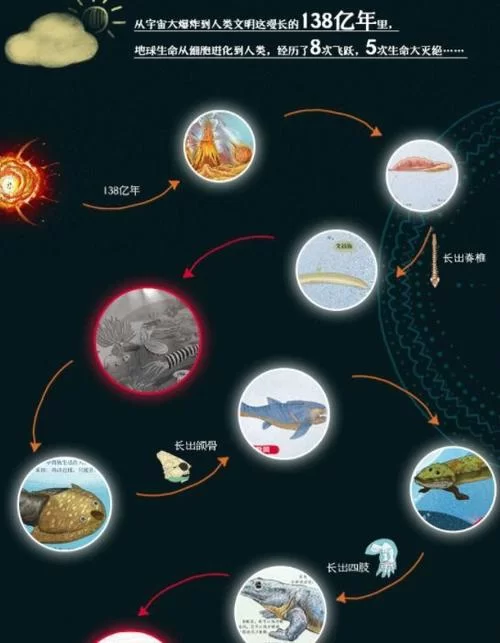 生命竞赛最新版本是多少啊？一篇文章看懂版本信息。