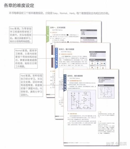 生命竞赛游戏攻略大全：从入门到精通看这篇就够了！