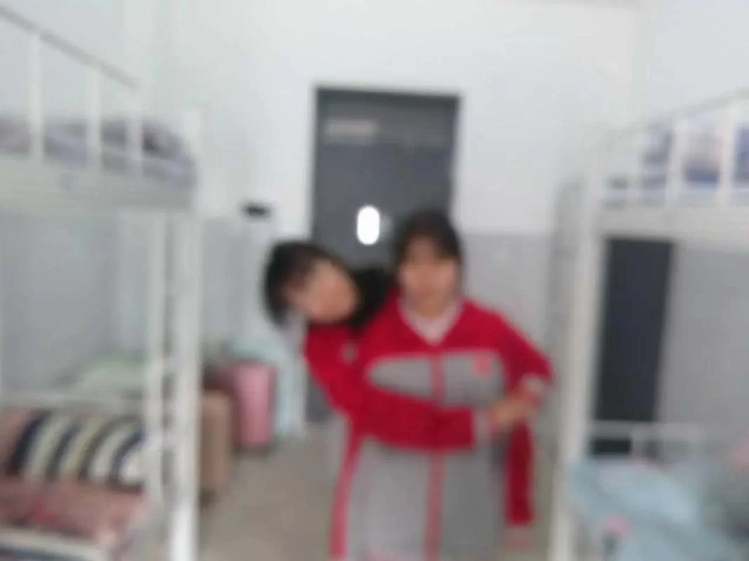 电子羊安卓汉化哪个版本好？网友推荐的这款值得试！