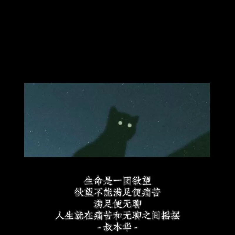 痛苦的欲望最新结局是什么？深入分析带你了解最终走向。