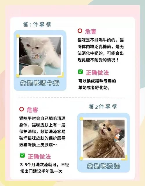 禁忌幻想游戏攻略怎么看才明白？掌握这几个关键点轻松上手！