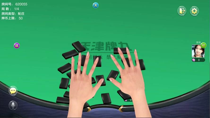 种马V0.11版本大全：常见问题解答，轻松解决游戏难题！