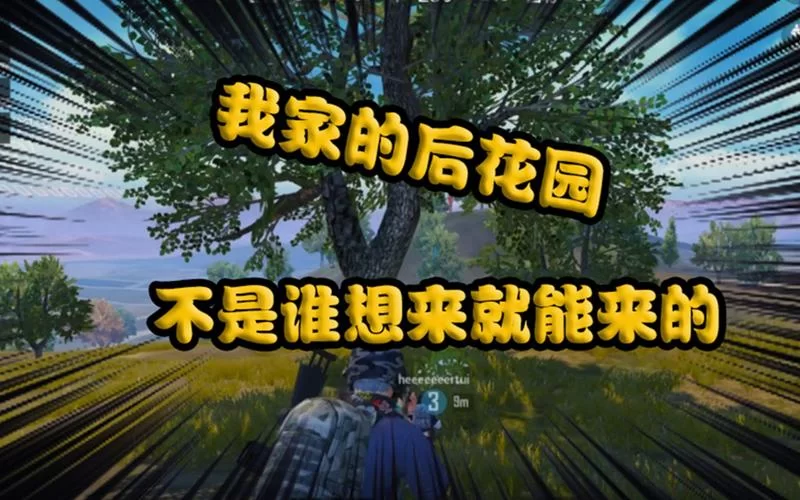 精英花园最新版本是多少？官方渠道怎么查最准？