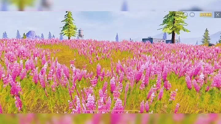 精英花园游戏介绍：超好玩的花园模拟游戏，不容错过