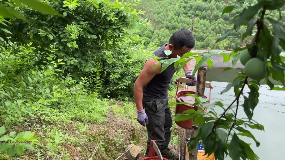 索尼娅的乡村生活更新地址变了吗？最新消息和入口分享！