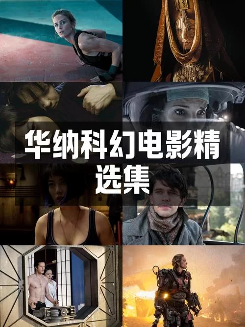 艾米丽布兰切特版本大全有哪些？影迷必备收藏指南看这里。