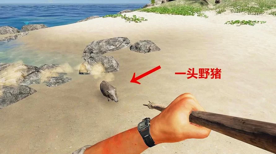 荒岛X求生杨过游戏新手怎么玩？大神带你轻松上手！