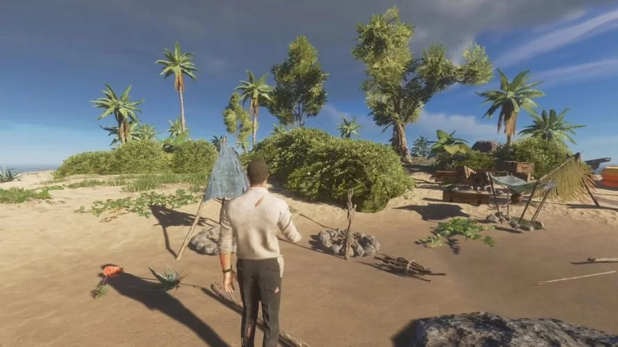 荒岛X求生游戏攻略有哪些重点？高手总结实用技巧