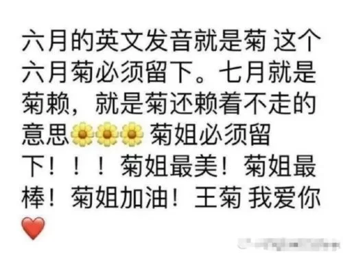 菊玩少女游戏官网有哪些内容？超多精彩不容错过！