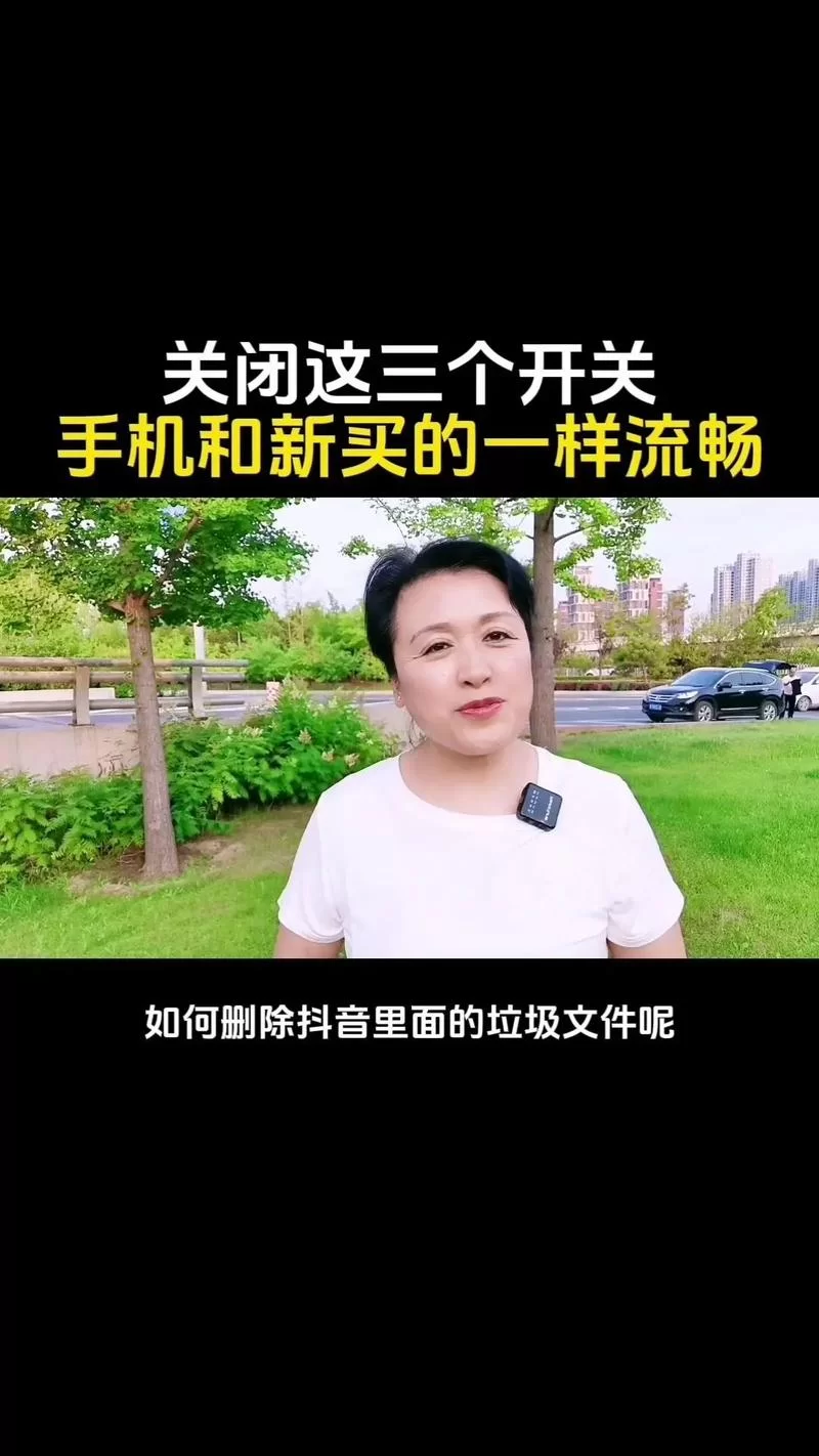 蓝鸟军团安卓汉化玩起来卡顿怎么办？几招教你流畅运行！