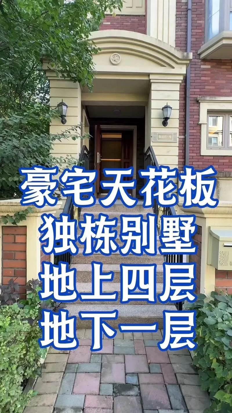 豪宅V0.95官网攻略：新手必看，快速上手指南！