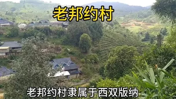 边境之村游戏介绍新手入门难吗？大神教你轻松开局！