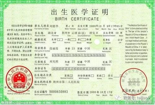 还在到处搜出生证明下载地址？这里有靠谱的渠道！
