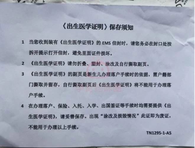 还在到处搜出生证明下载地址？这里有靠谱的渠道！