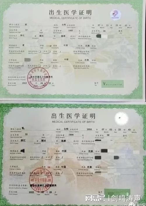 还在到处搜出生证明下载地址？这里有靠谱的渠道！