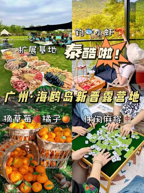 还在找nekotto岛官网？最新地址和攻略都在这儿！