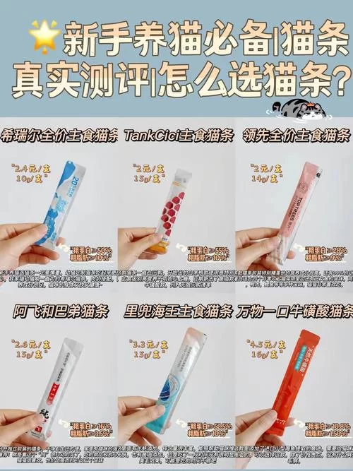还在找喵喵岛3在哪下载？看这篇教程一步搞定！