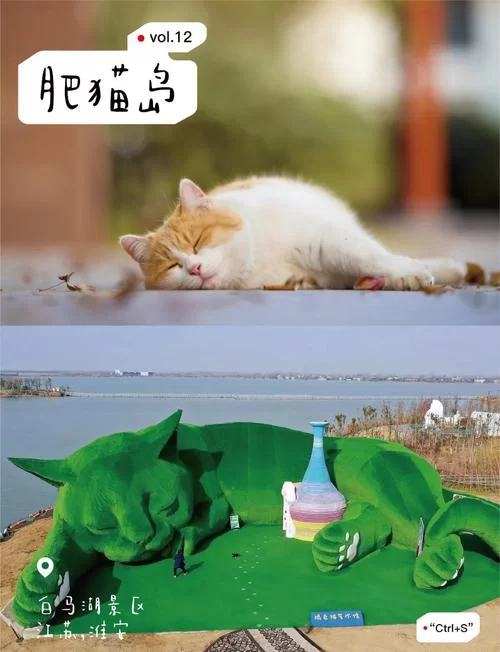 还在找喵喵岛3在哪下载？看这篇教程一步搞定！