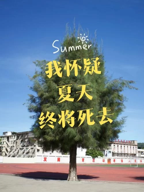 逝去的夏天如何下载？(简单几步教你搞定游戏下载)