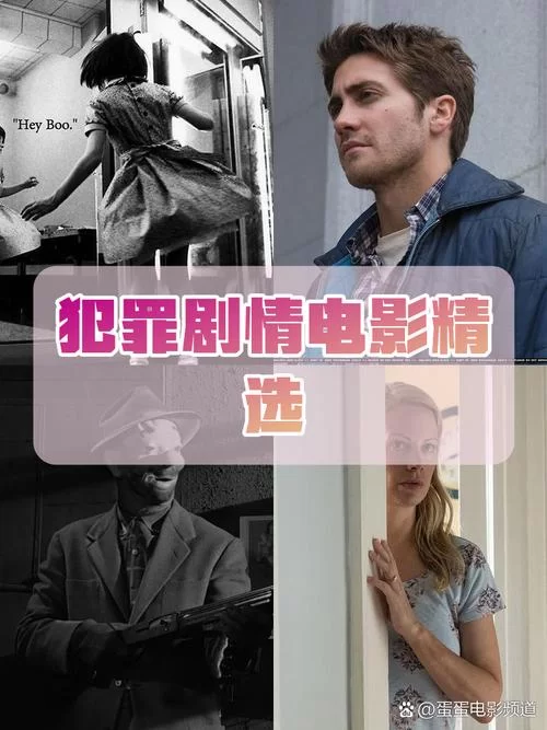 都市媚影最新有哪些看点？不容错过的精彩剧情盘点！
