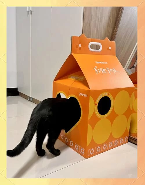 野猫在哪下载才最放心？教你几招快速辨别正版！