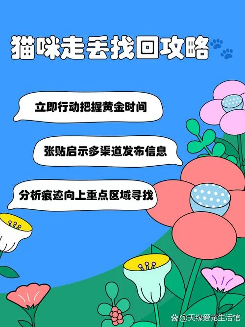 野猫更新地址老是换怎么办？告诉你个不迷路的好办法！