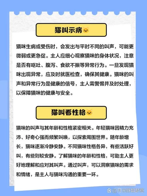野猫更新地址老是换怎么办？告诉你个不迷路的好办法！