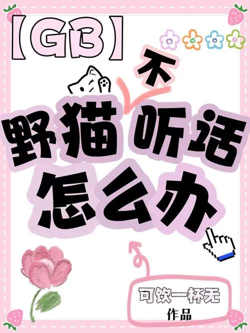 野猫最新动态全知道，关注这些就能掌握一手资讯。