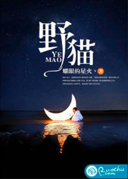 野猫汉化版下载资源哪里多？这几个地方免费又安全！