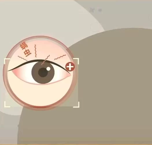 闭着眼睛官网和别家有啥不同？这些优点太赞了！