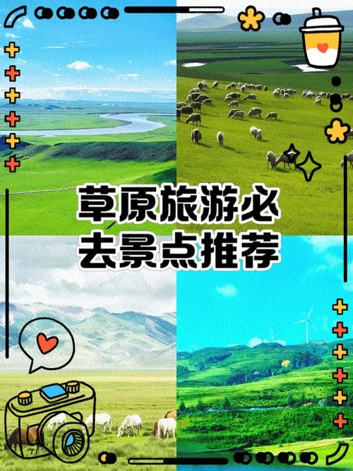 青青草原官网是哪个？别找错官方网址在这里！