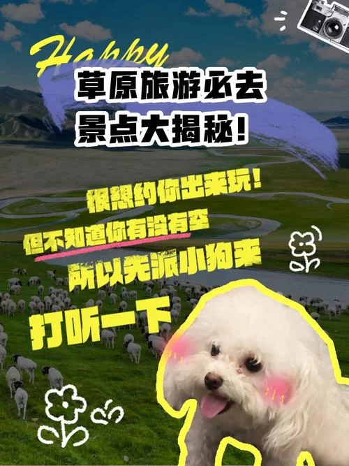 青青草原最新版本好不好玩？听听老玩家怎么说！
