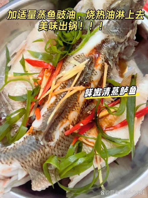 鱼筱如何下载安装？简单几步教你轻松搞定！