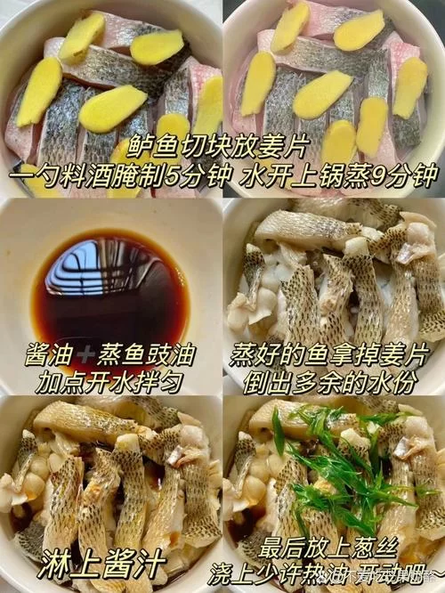 鱼筱如何下载安装？简单几步教你轻松搞定！