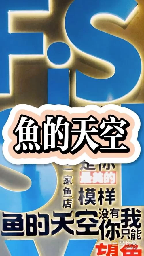 鱼筱安卓到底怎么样啊？用户真实评价鱼筱安卓好不好！