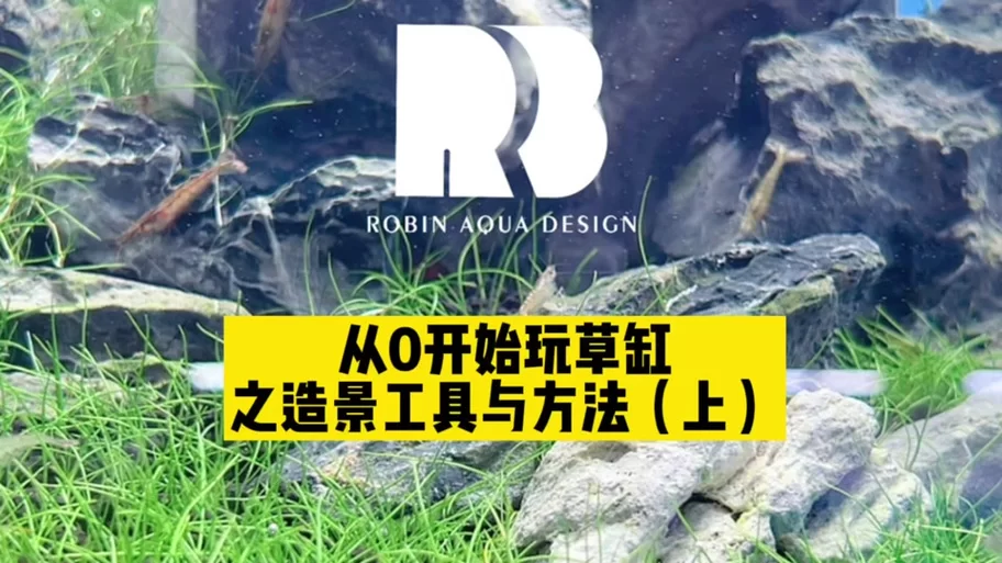 黄毛漂流记在哪下载完整版？一键获取游戏安装包！
