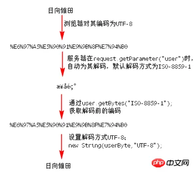 光环v1.6汉化版下载体验 完整中文界面无乱码