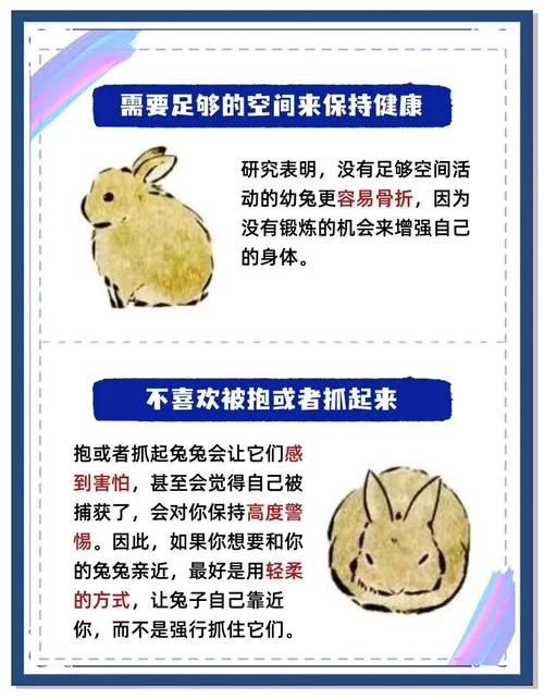 兔兔秘密花园绅士游戏角色背景故事解析