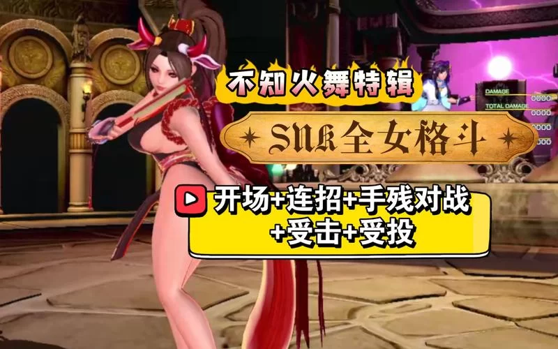 全女格斗同人游戏介绍 这些角色你最喜欢哪一个