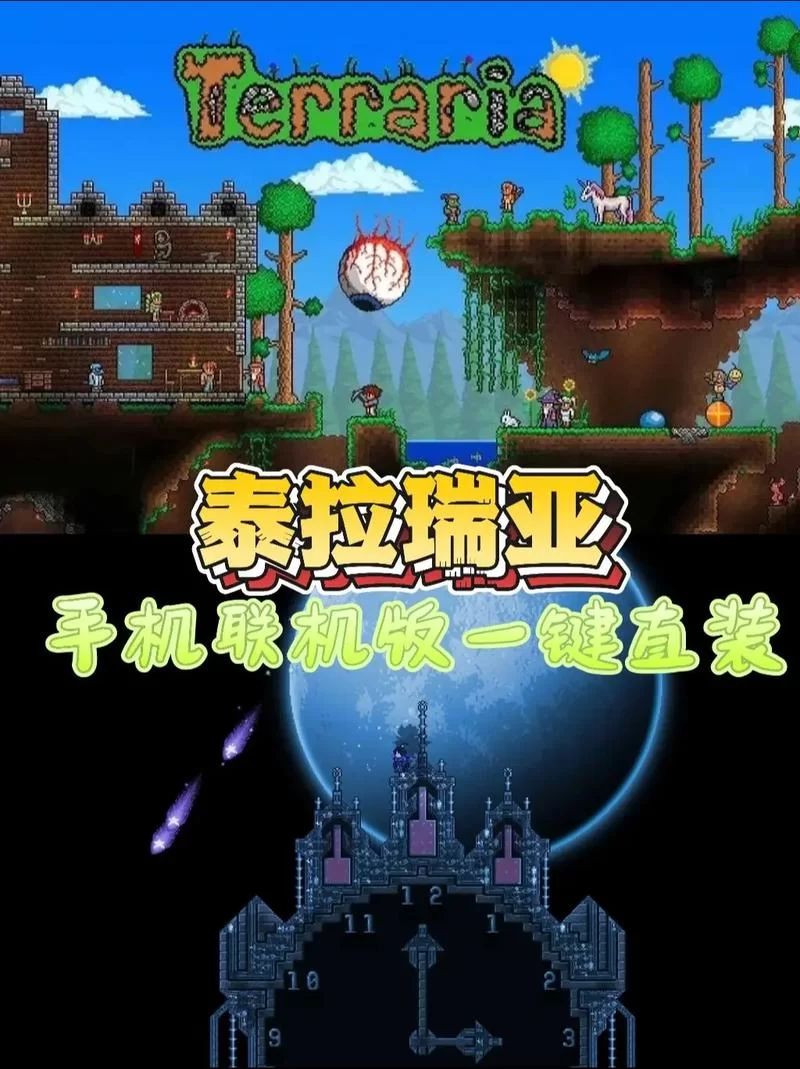 全女格斗在哪下载 安卓苹果双端安装教程